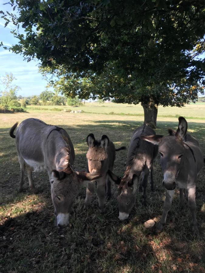 Au Coeur De La Nature Allaire Esterno foto