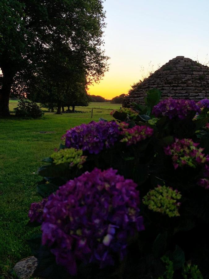 Au Coeur De La Nature Allaire Esterno foto